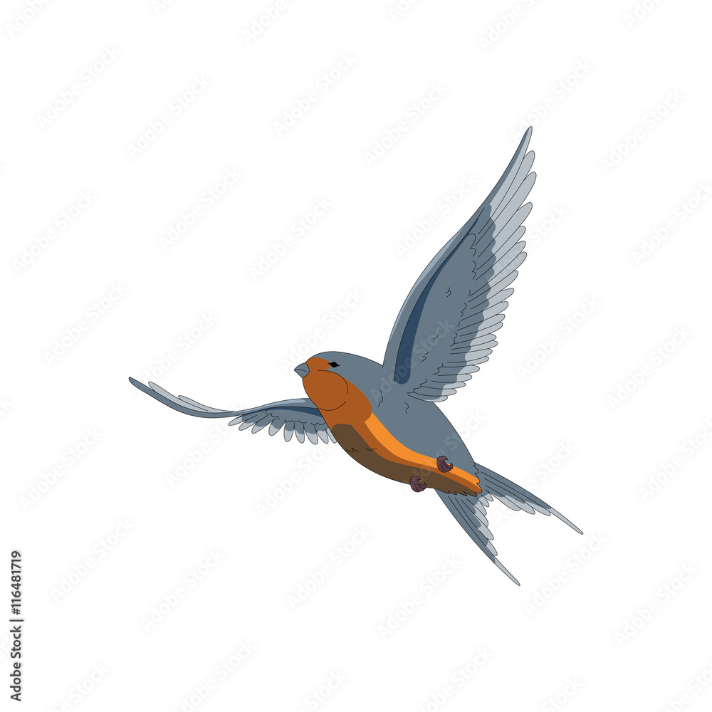 Fototapeta premium flying swallow