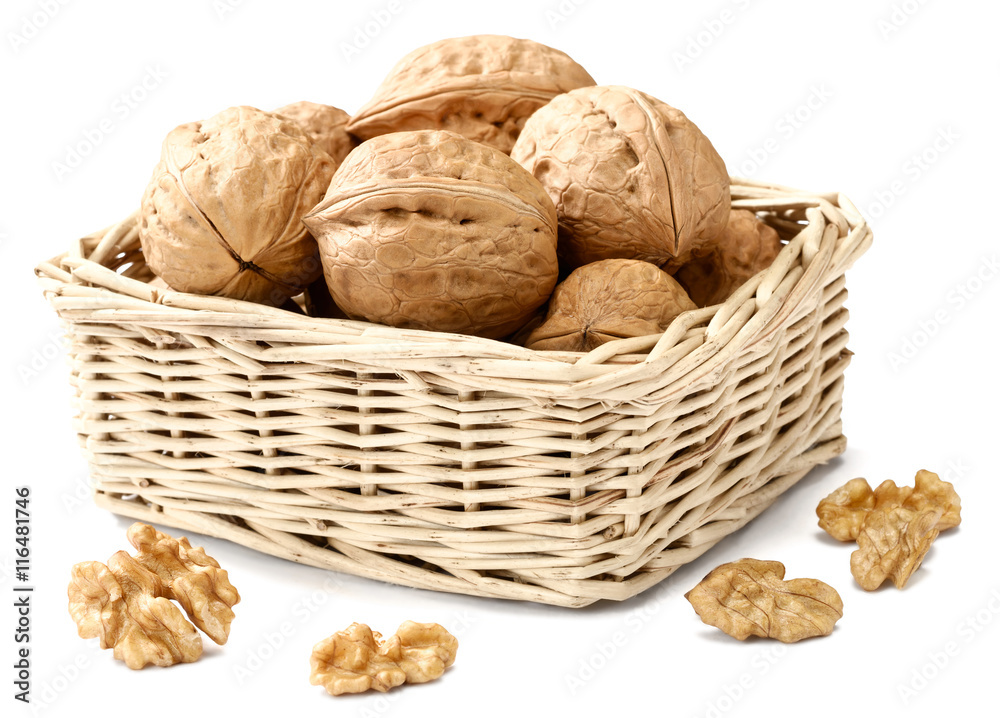 walnuts in the basket walnuts in the basket