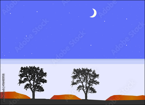 Noite estrelada com lua nova no sertão