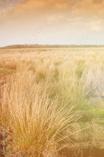 The image of farmland