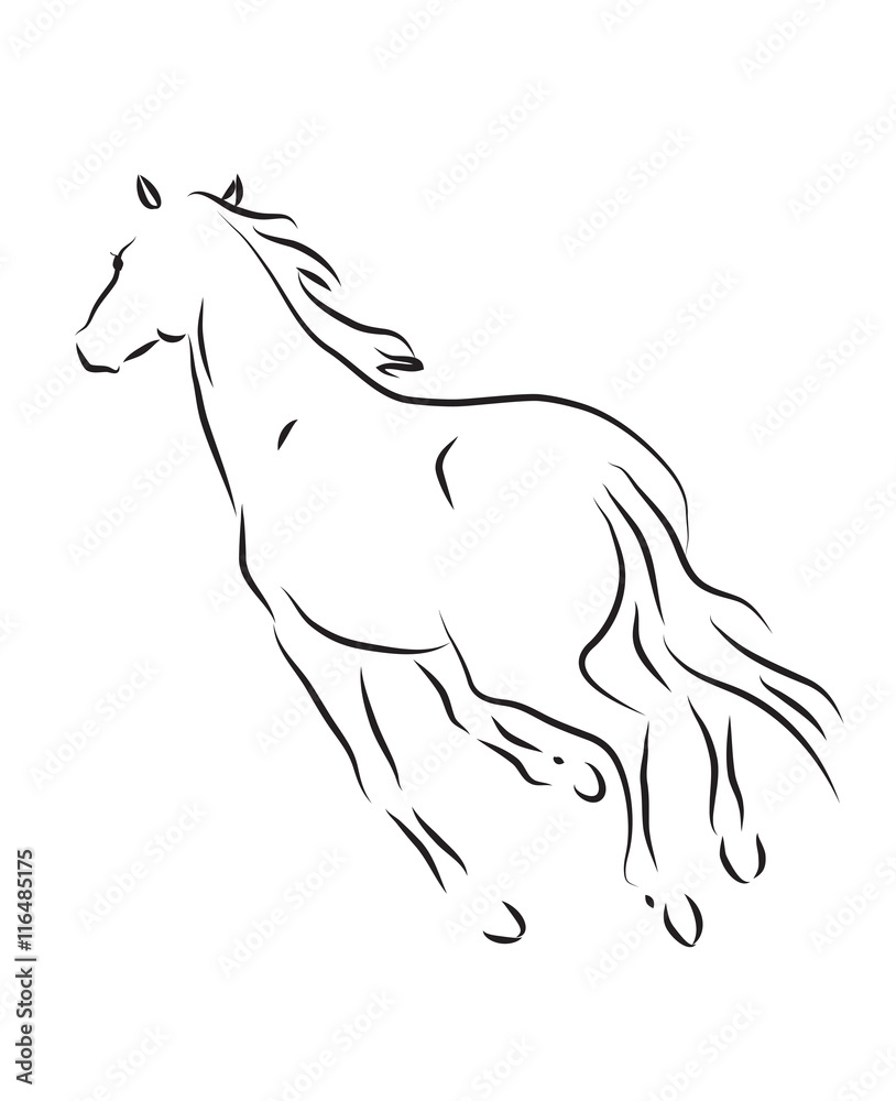 Fototapeta premium silhouette of galloping horse