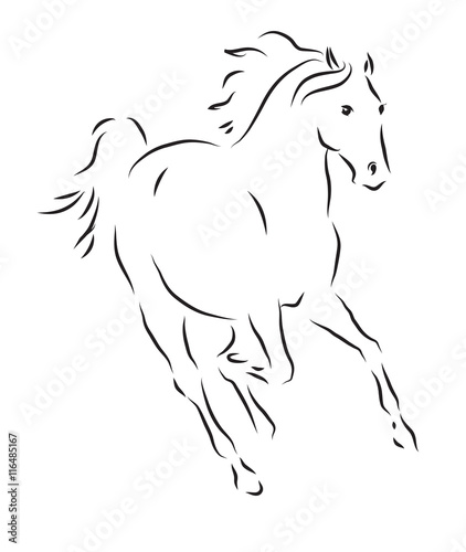 Vector illustration of galloping horse