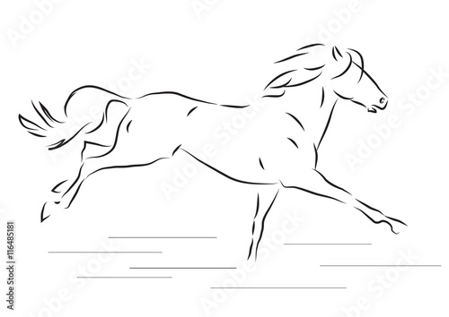 galloping horse