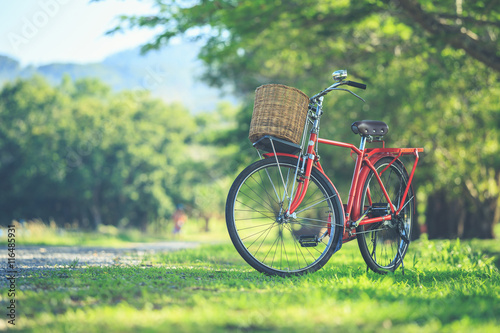 Red Japan style classic bicycle at the park