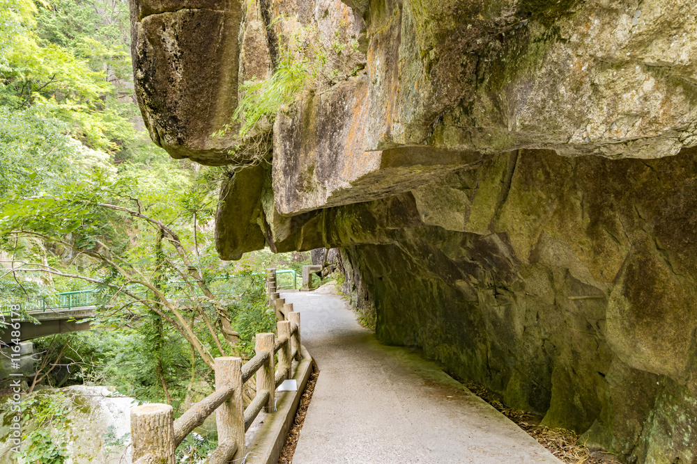 Obraz premium waterfall, green,