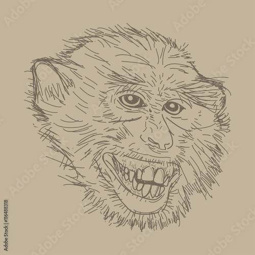 Sketch monkey face