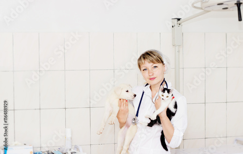 Fototapeta Naklejka Na Ścianę i Meble -  vet and puppy at the clinic