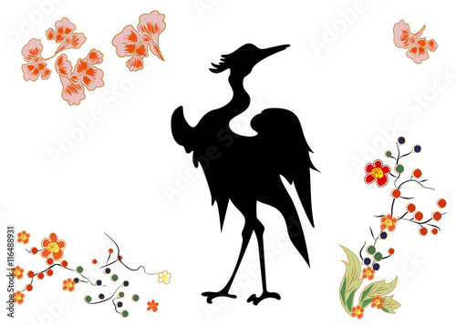 Fabulous large bird with black feathers.