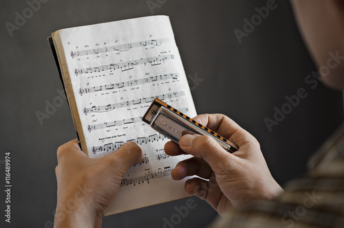 Musician takes lessons harmonica