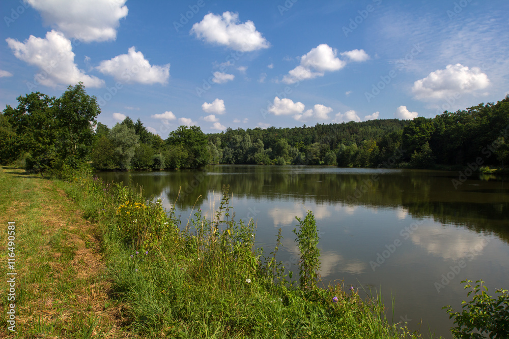 Quiet lake / Landscape with lake