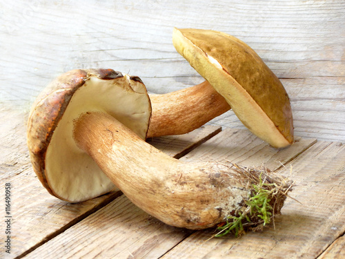 Two porcini. White wild mushrooms on a rustic wooden background.