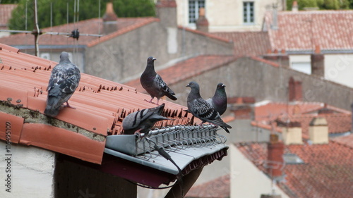 Sur les toits de Clisson
