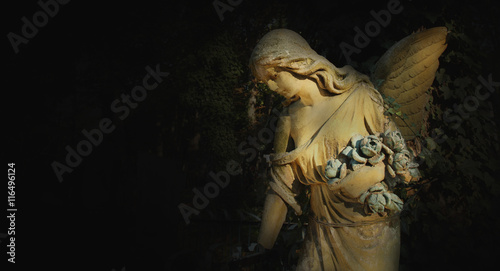 Fototapeta Naklejka Na Ścianę i Meble -  golden angel in the sunlight (antique statue)