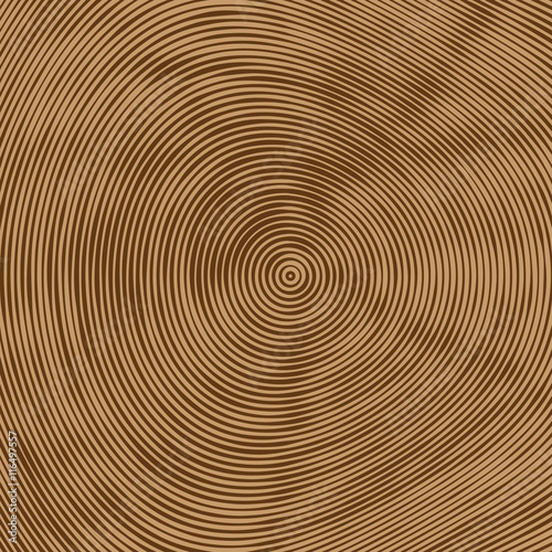 Tree rings vector background