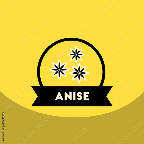 flat vector icon design collection Kitchenware seasoning anise