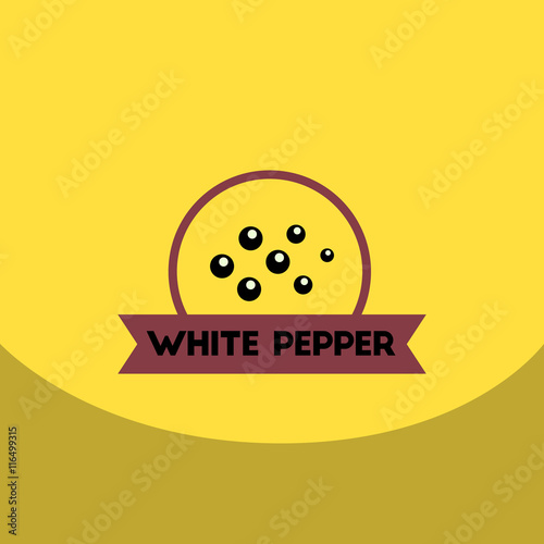 flat vector icon design collection Kitchenware seasoning white pepper