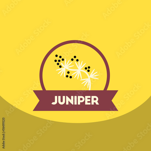 flat vector icon design collection Kitchenware seasoning juniper