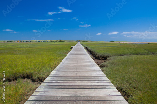 Famous Town Neck Beach Boardwalk in Sandwich  Massachusetts  USA