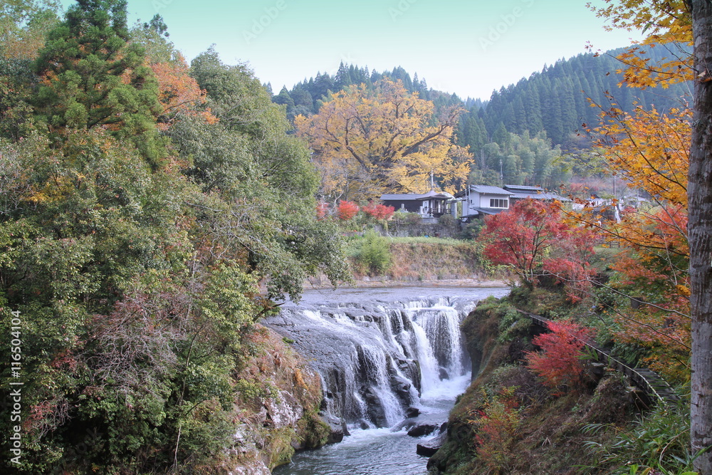 初秋の鍋釜の滝と下城の大イチョウ 初秋の鍋釜の滝と下城の大イチョウ