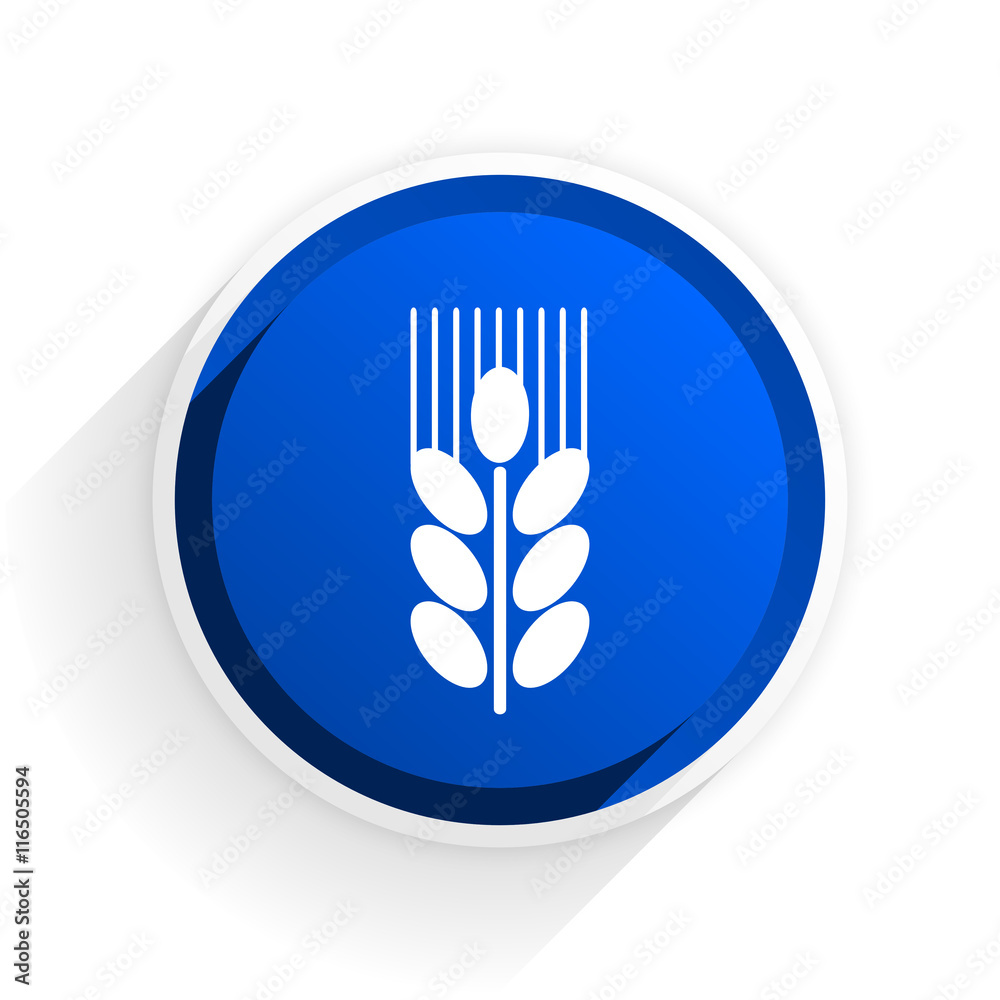 grain flat icon with shadow on white background, blue modern design web element grain flat icon with shadow on white background, blue modern design web element