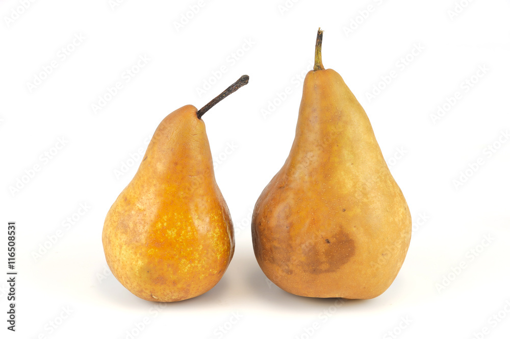 pears isolated on white background pears isolated on white background
