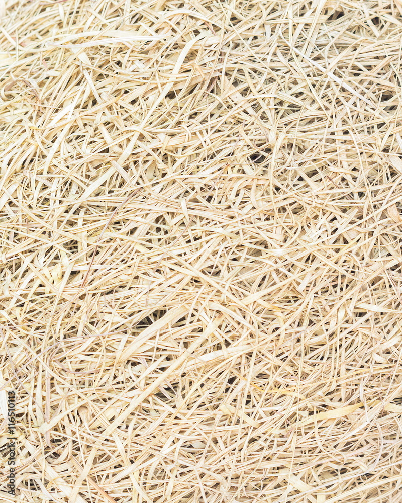 Dry straw, Dry grass, texture background. Dry straw, Dry grass, texture background.