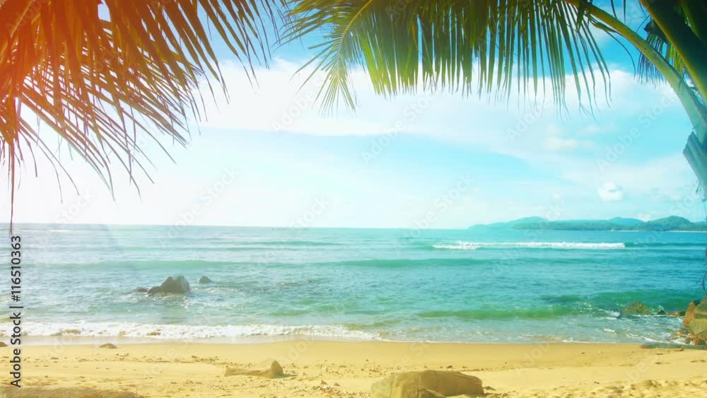 Video UltraHD - Thailand, Phuket Island. Sunny beach with palm trees without people