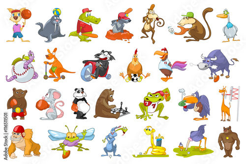 Vector set of animals sport illustrations. photo