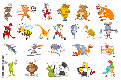 Vector set of animals sport illustrations.