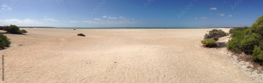Shell Beach Shark Bay Panorama