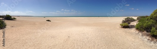 Shell Beach Shark Bay Panorama