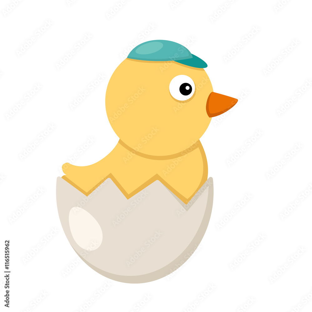 illustration of isolated chicken on white background illustration of isolated chicken on white background