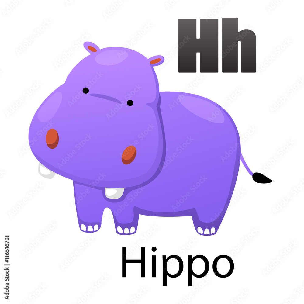 Obraz premium Alphabet letter H-Hippo