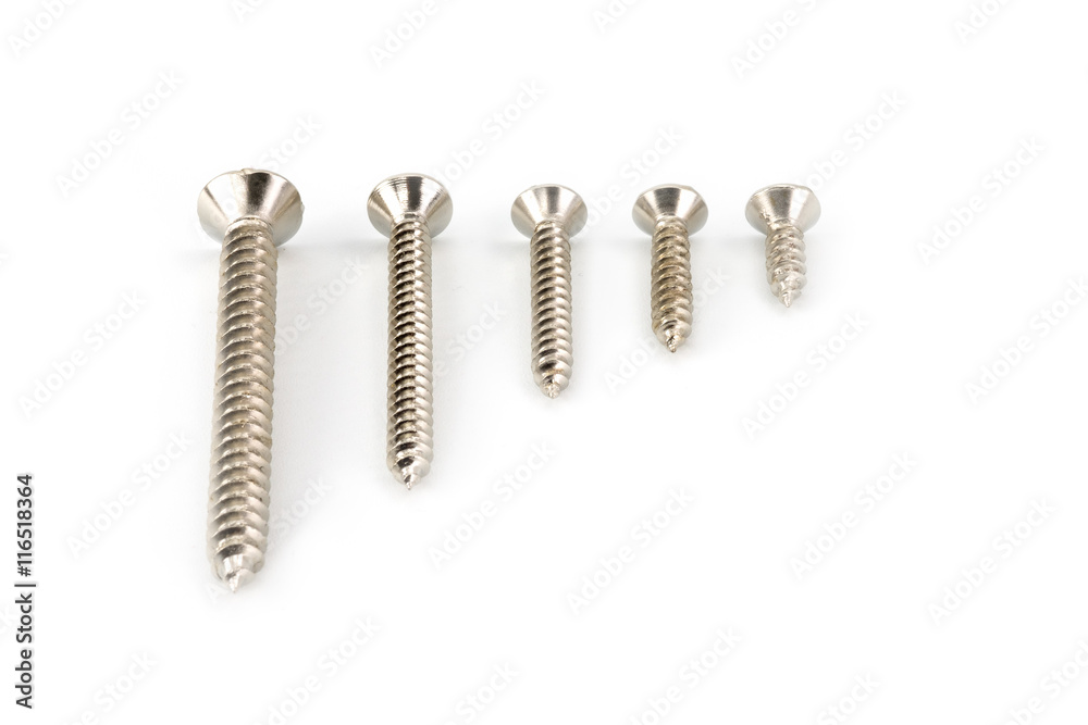 Screw Screw