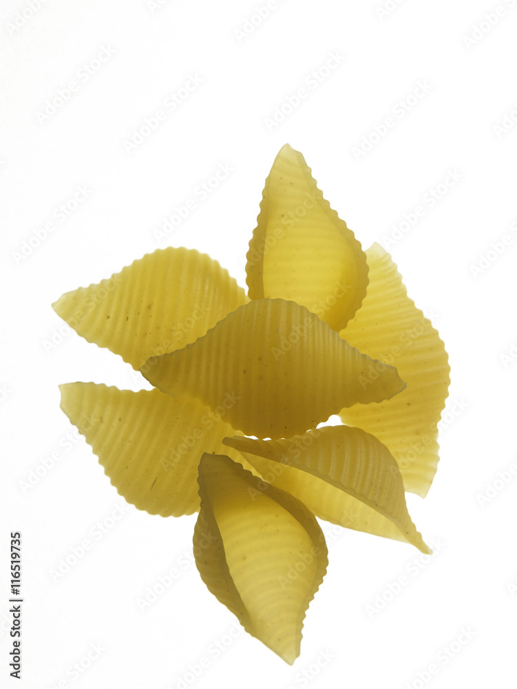 pasta with backlit pasta with backlit