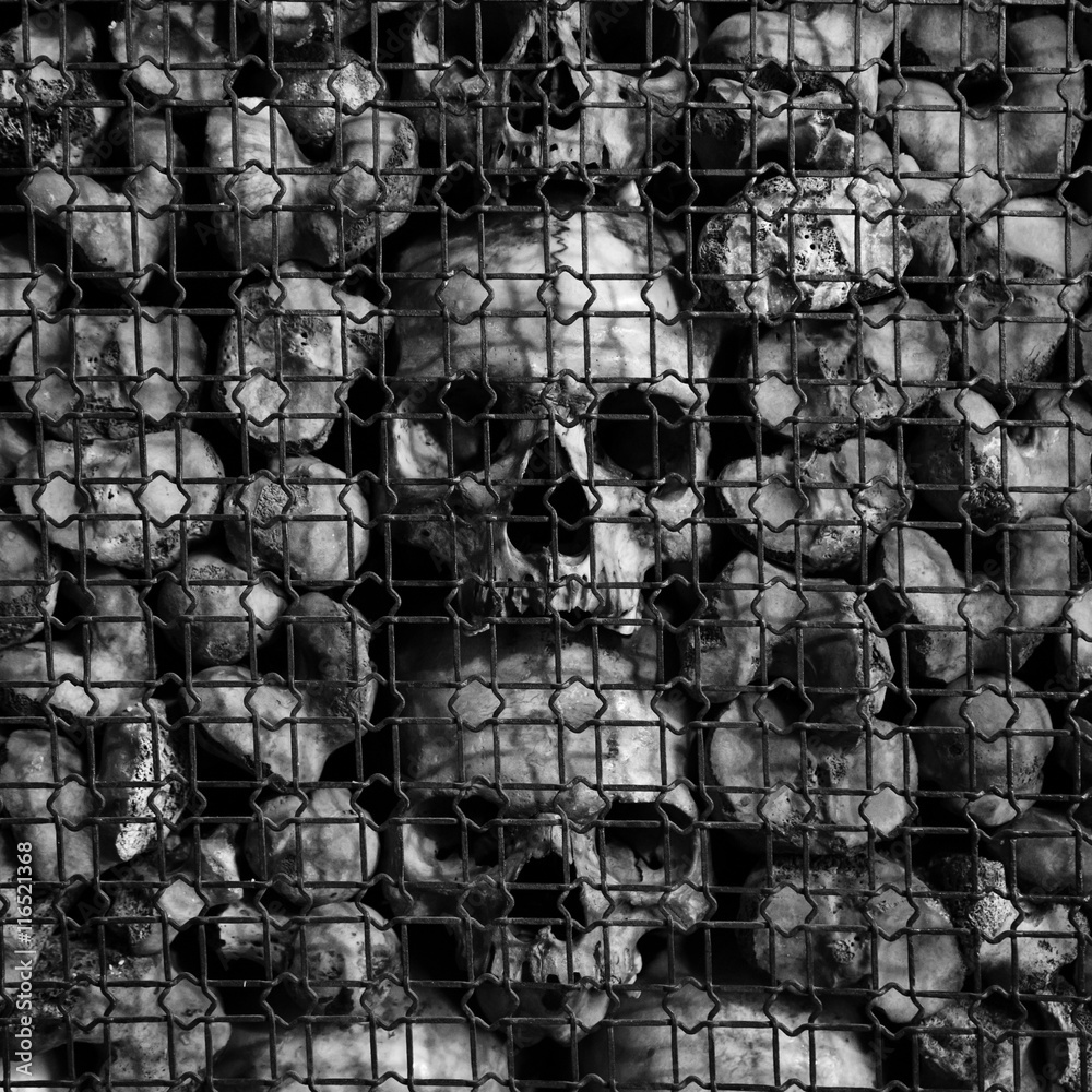 Ancient human skulls and bones Ancient human skulls and bones