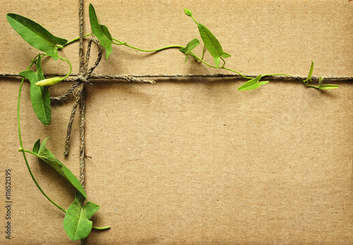 Wrapped box with rope and l...