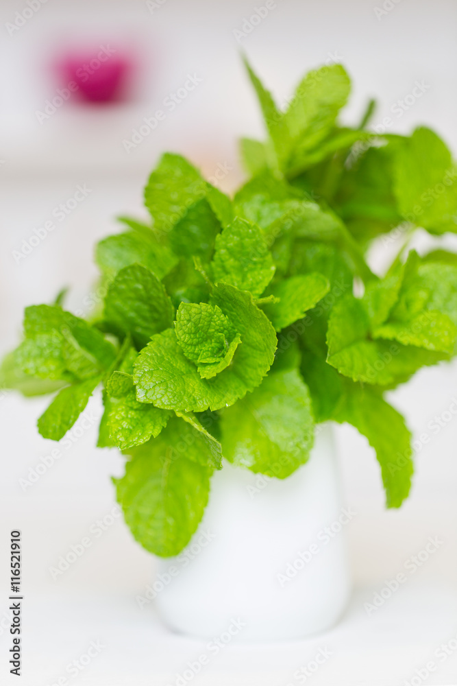 frische Minze frische Minze