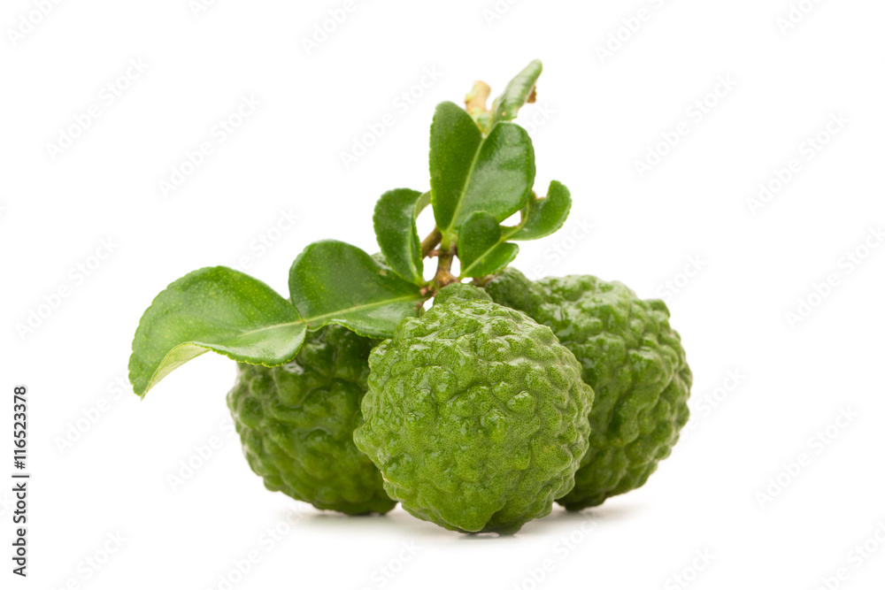 kaffir lime kaffir lime