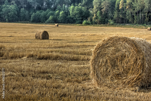 Obraz na płótnie Fall. Slanted field. w salonie
