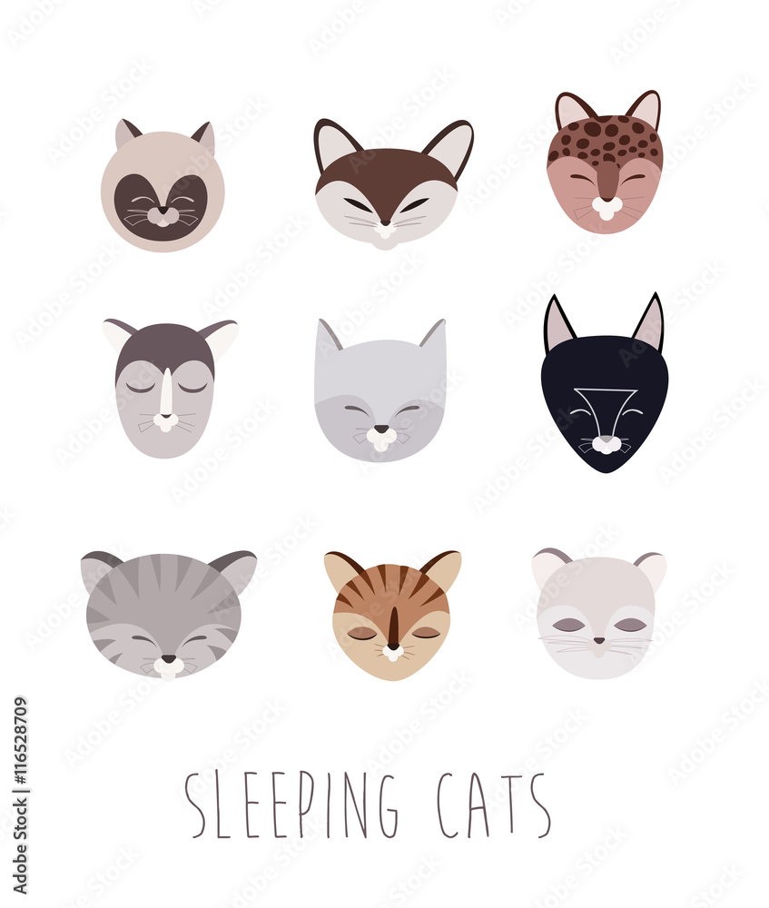 Set of Sleeping Cats Set of Sleeping Cats
