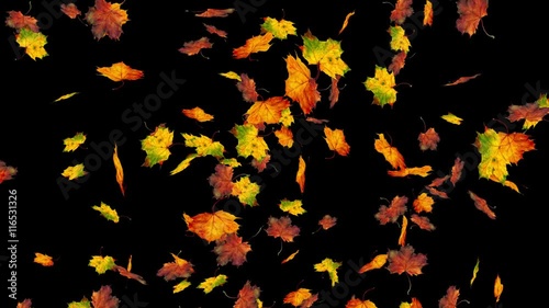 Flying colorful maple leaves. Autumn, fall background. Slow motion, close-up HD realistic 3D animation.