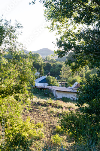 Wallpaper Mural Village houses among the trees and grass in the summer on a background of mountains. Torontodigital.ca