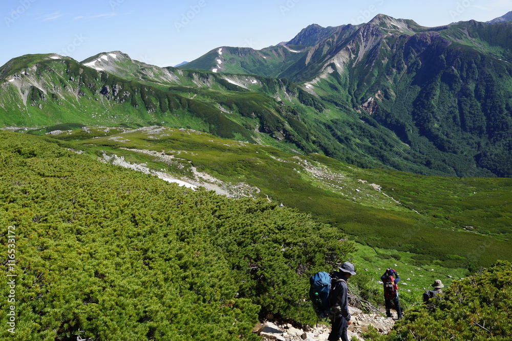 双六岳　山頂　眺望　北アルプス　登山　山道　空　絶景　雲海