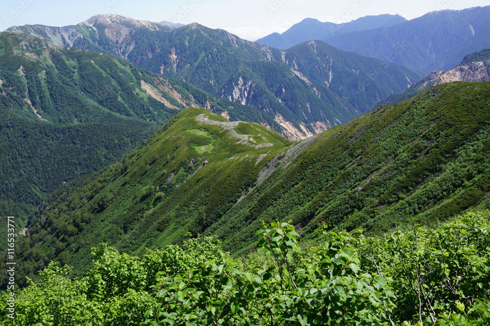 Fototapeta premium 樅沢岳 山頂 眺望 北アルプス 登山 山道 空 絶景 雲海