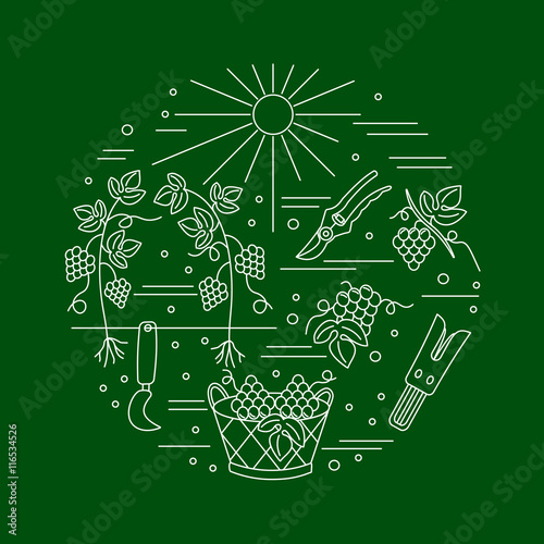 Winemaking, wine tasting graphic design concept