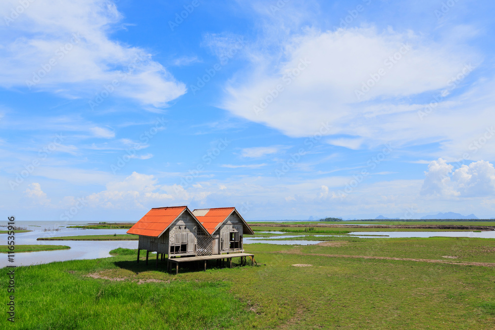 Blue skies, white clouds, green grass, & open range land dominate in Thailand with abandoned hut