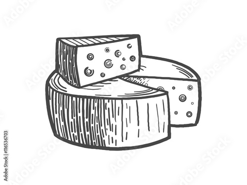 Cheese engraving style vector illustration