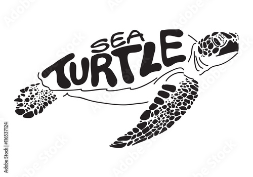 graphic sea turtle
