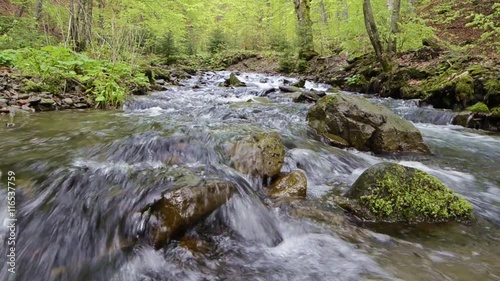 Mountain stream with stones close up in wood